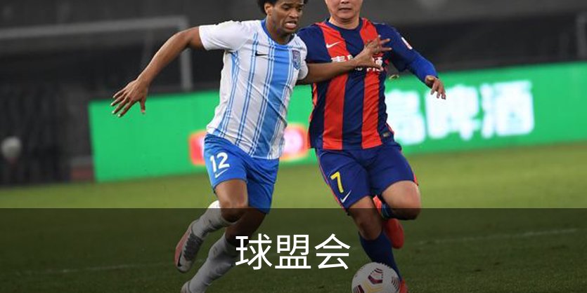 球盟会简介